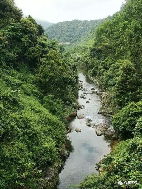 蛇蛇争霸